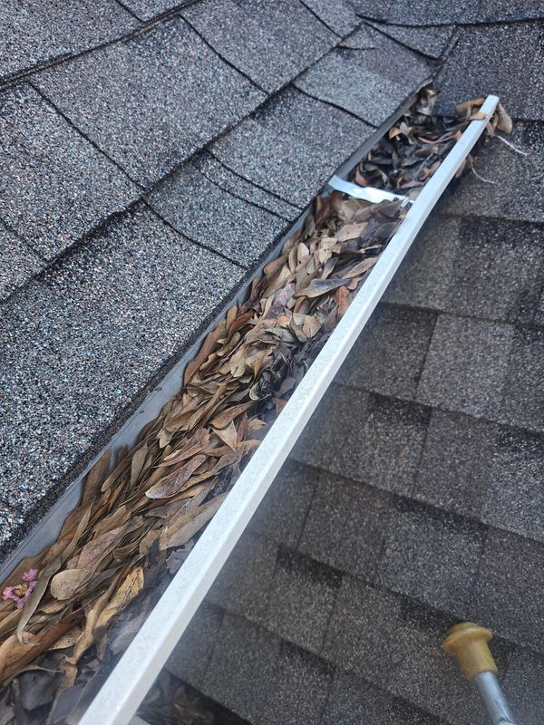Gutter Cleaning