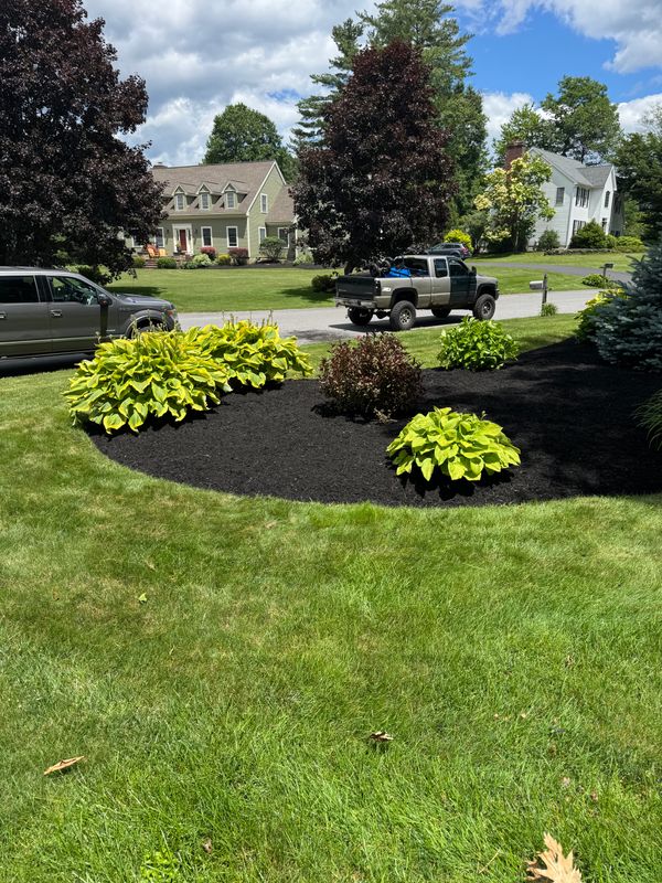 Lawn Maintenance