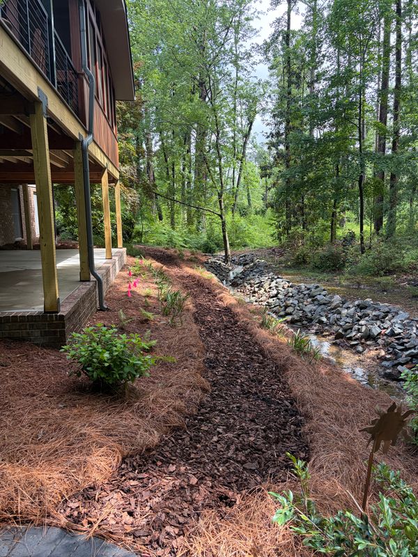 Landscape Design & Installation