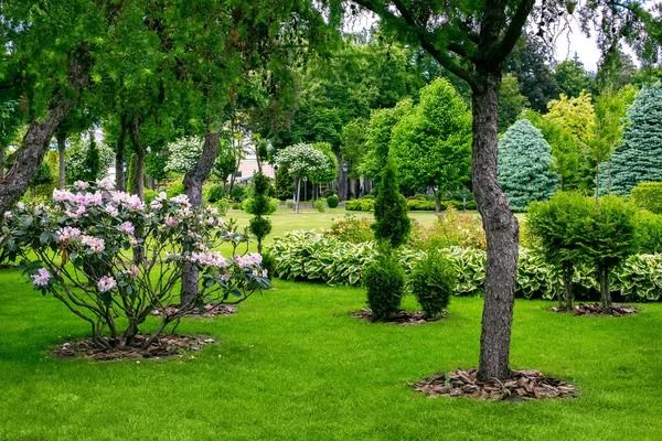 Organic Fertilization