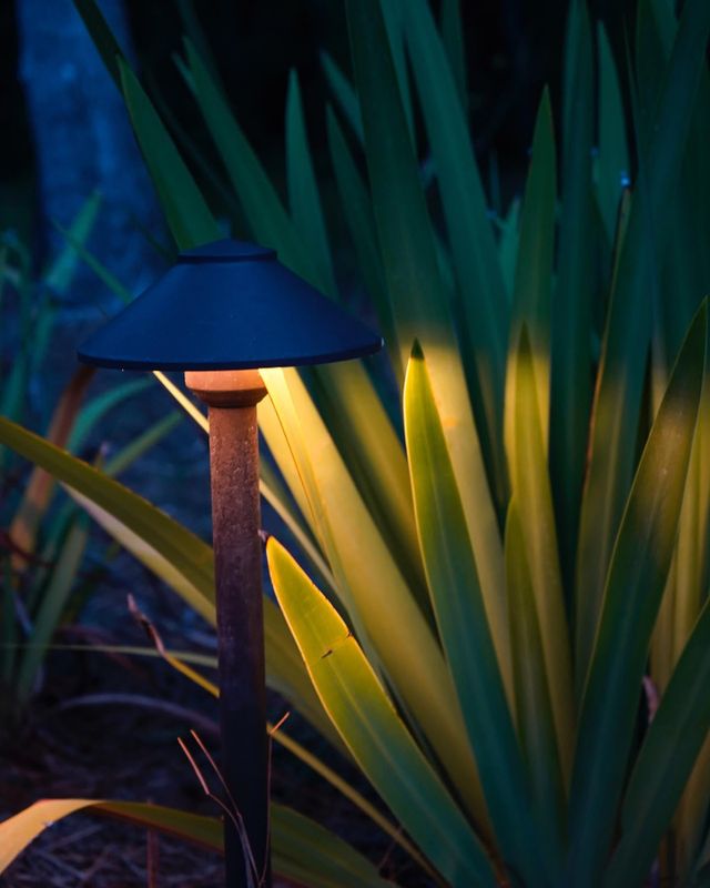 Landscape Lighting