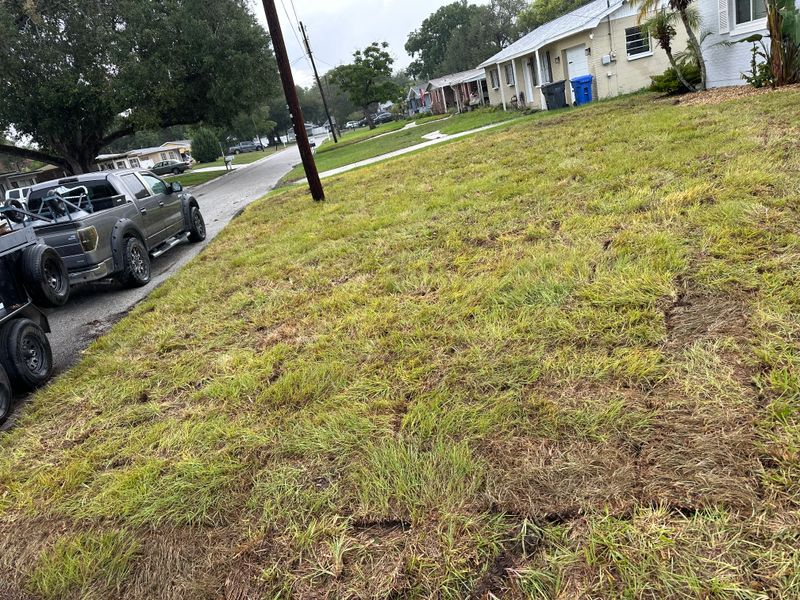 Sod Types