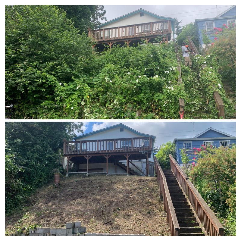 Landscaping