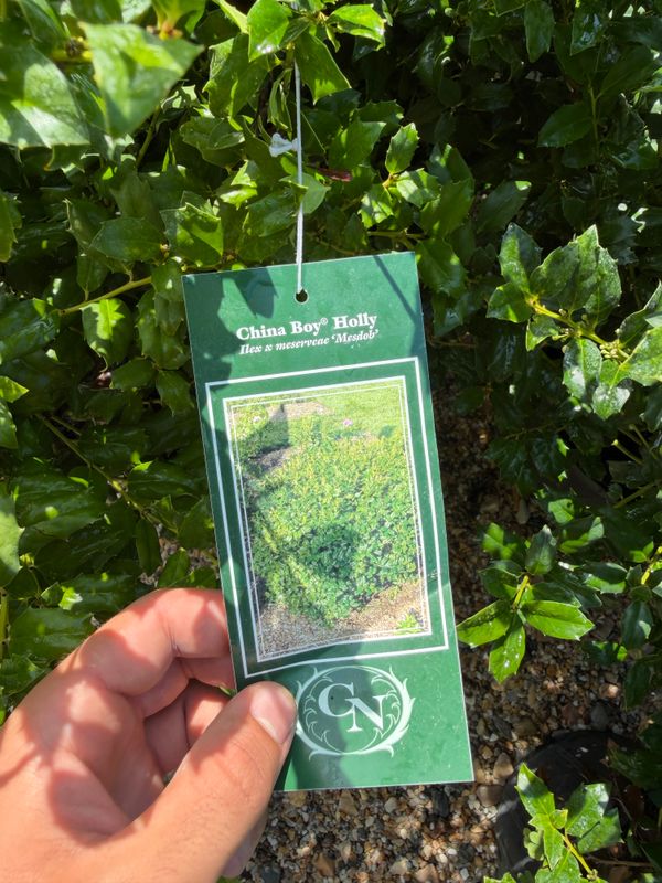 Garden Center