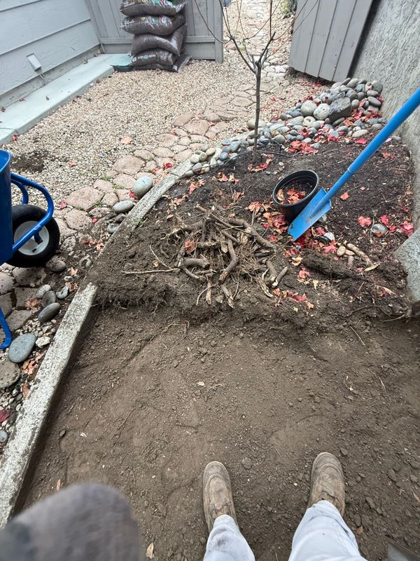 Landscaping
