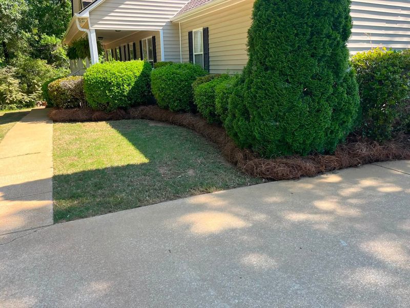 Lawn Care & Maintenance