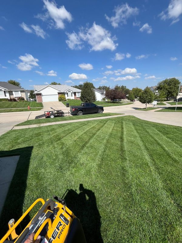 Aeration and Overseeding