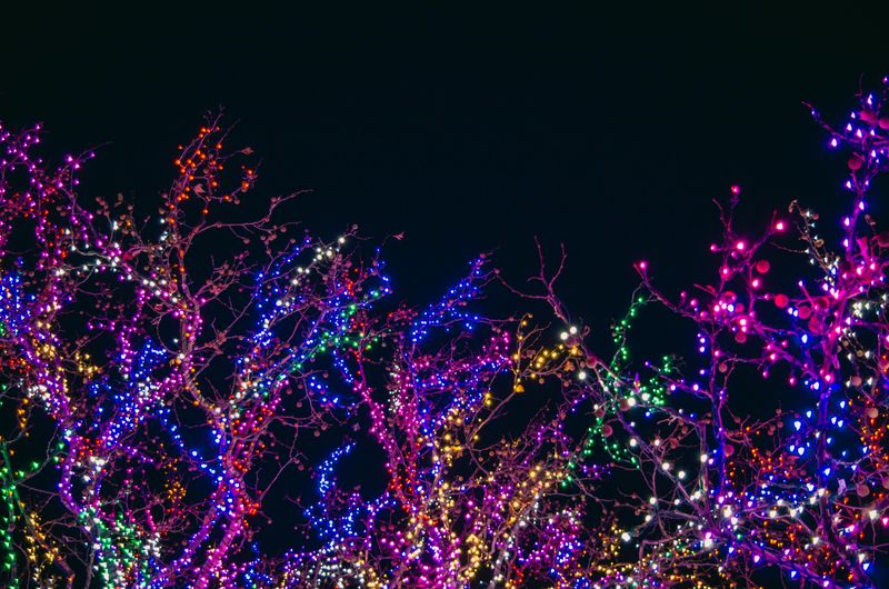 Holiday Lights