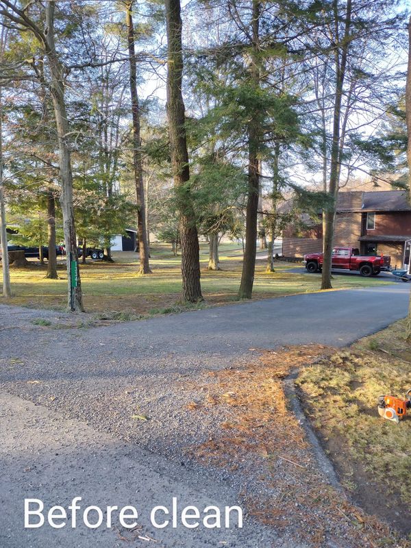 Fall Clean Up