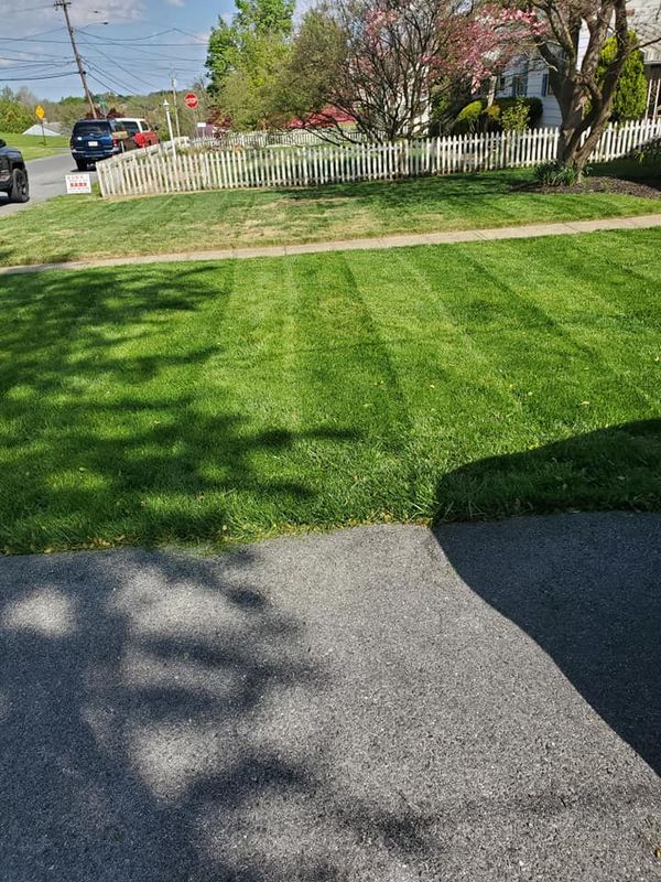 Lawn Care