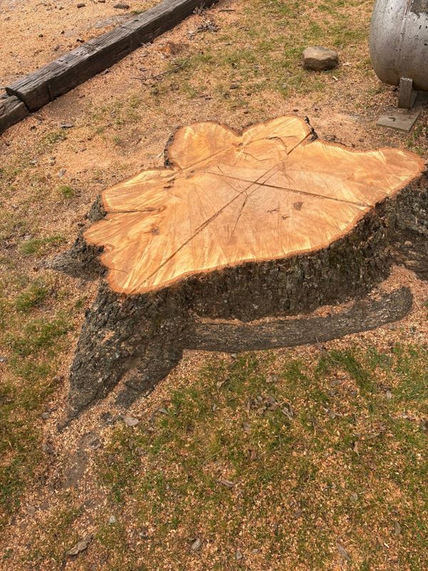 Stump Removal