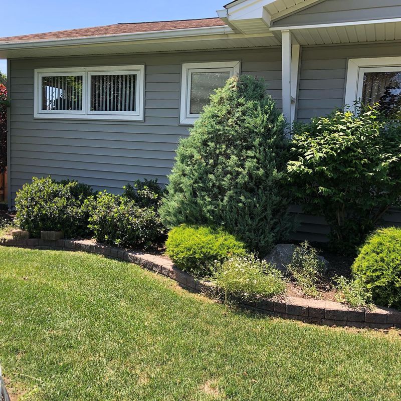 Shrub & Plant Installation Photos