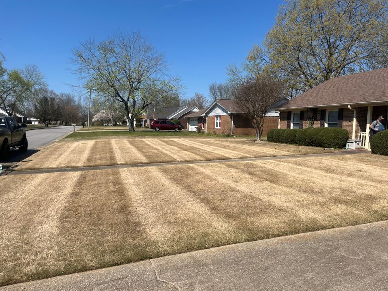 Lawn Maintenance