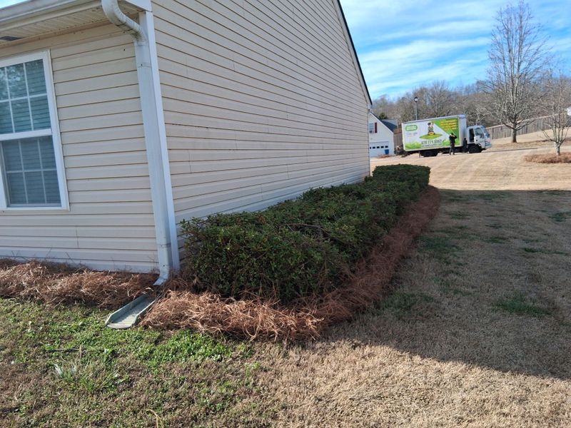 🌱 Sod Installation