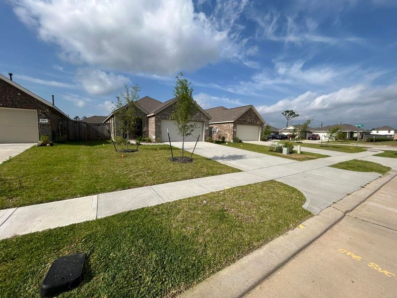 Commercial Lawn Maintenance