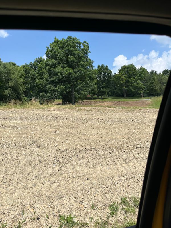 Weed and Brush Clearing