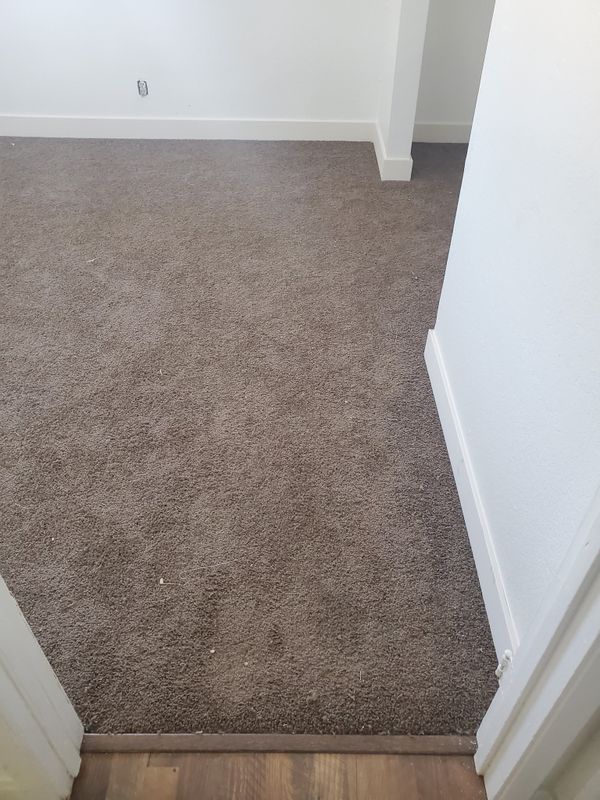 Carpet