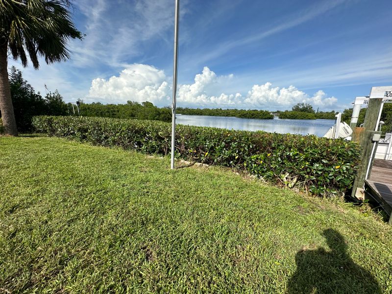 Mangrove Trimming