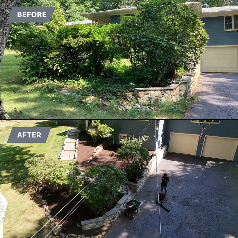 Plantings & Landscape Design