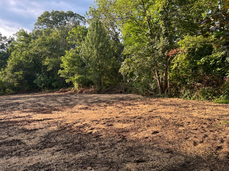 Land Clearing