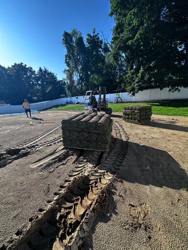 Sod Installation