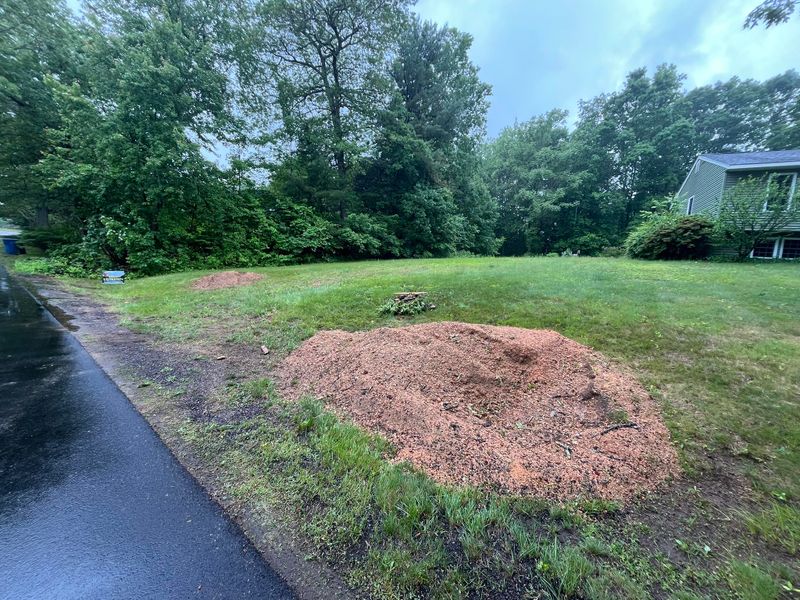 Stump Removal