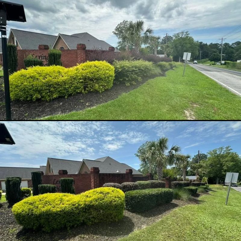 Landscaping