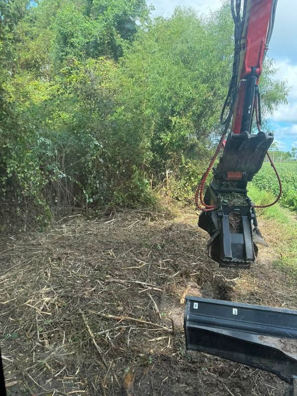 Land Clearing
