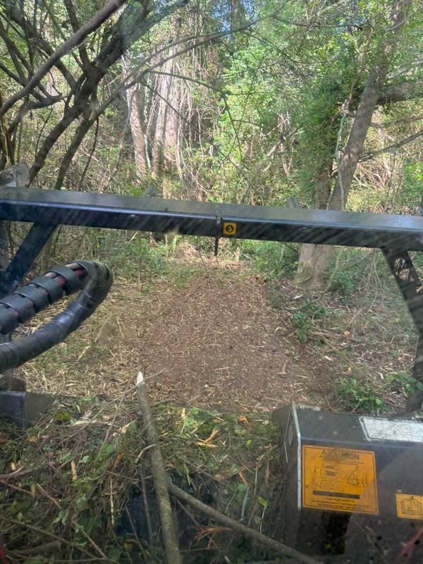 Land Clearing