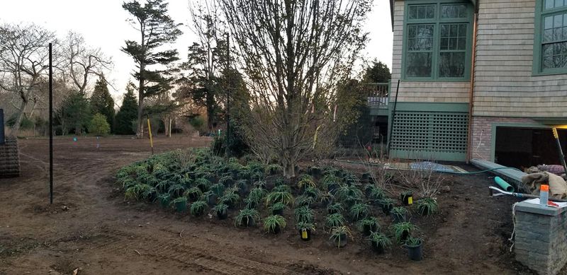 Garden Maintenance