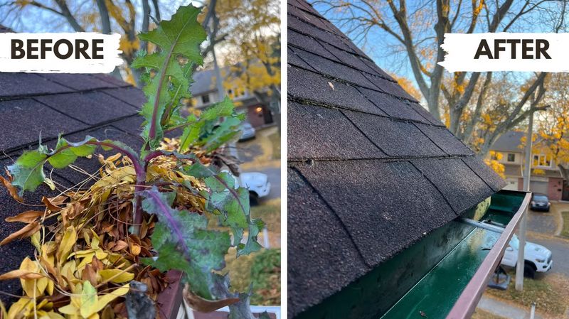 Gutter Cleaning