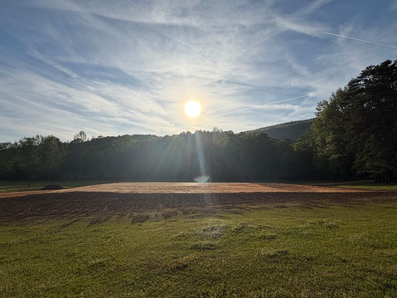Land Clearing