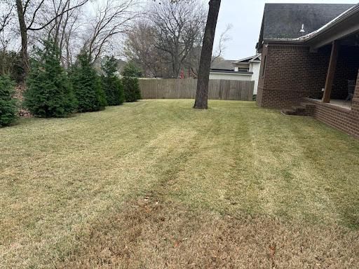 Landscape And Design