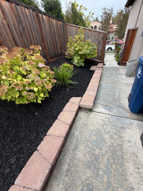 Shrub Trimming