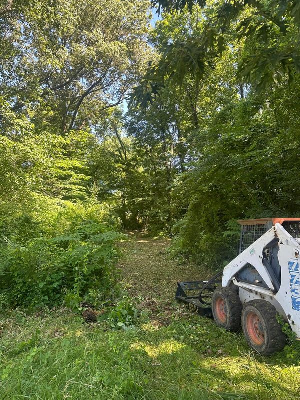 Land Clearing & Demolition