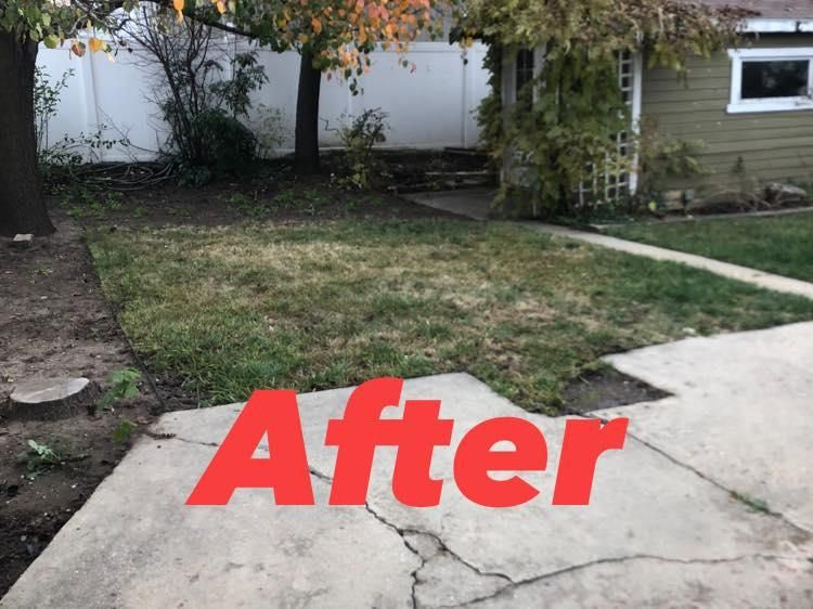Other Lawn Services
