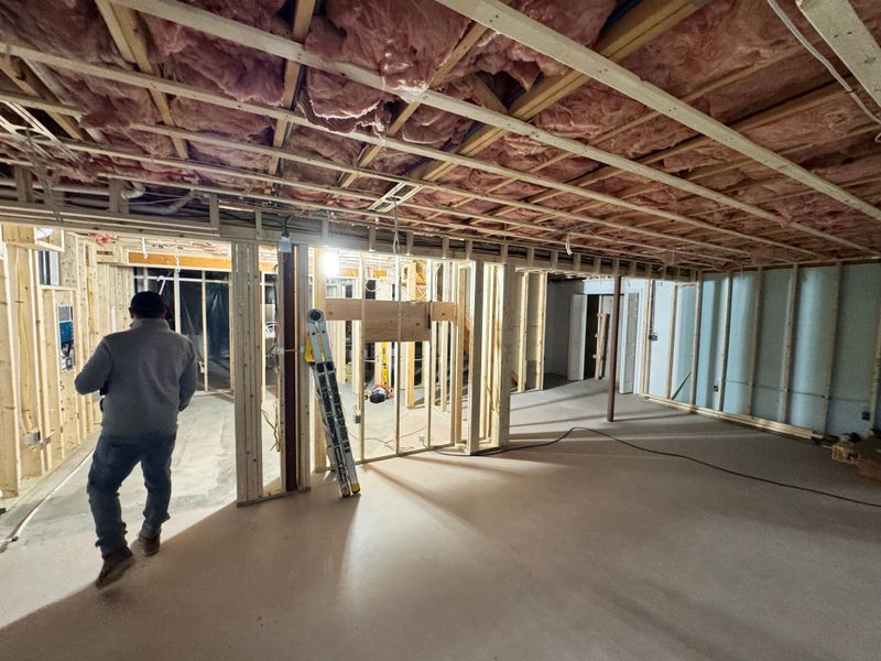 Kitchen Renovation