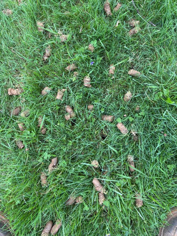 Aeration