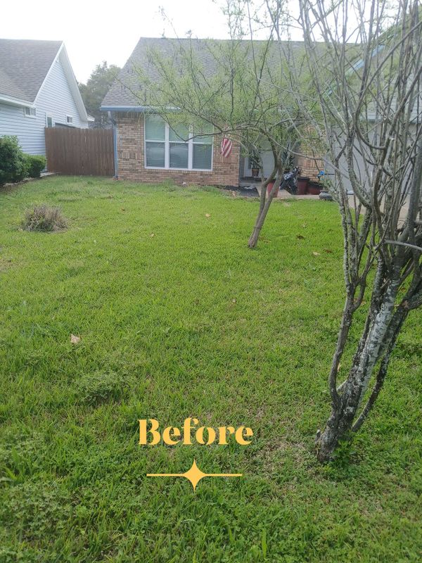 Lawn Maintenance
