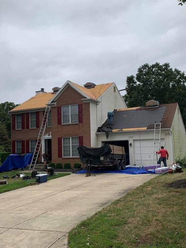 Shingle Roof Replacement