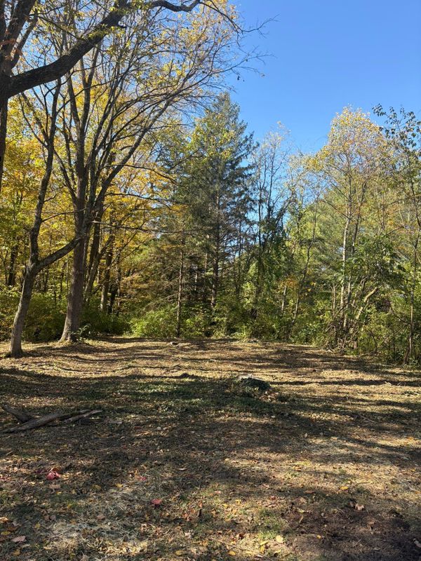Fall Clean Up