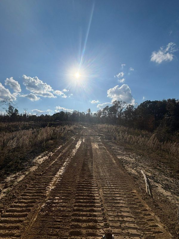 Land Clearing