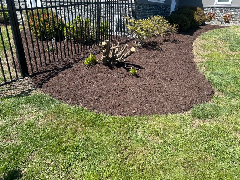 Mulch