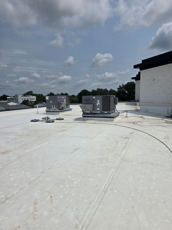 Roof Maintenance