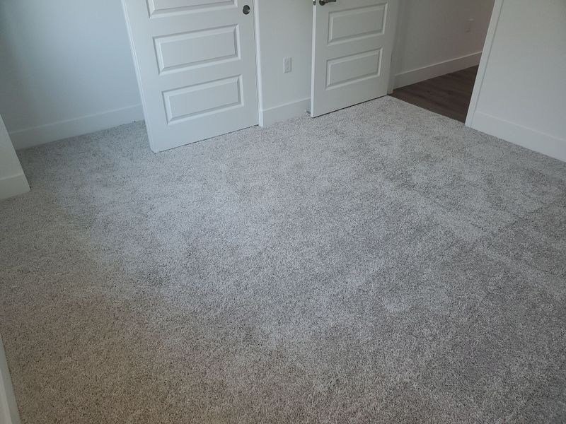 Carpet