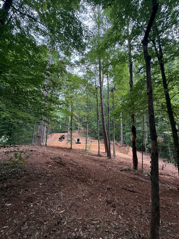 Land Clearing