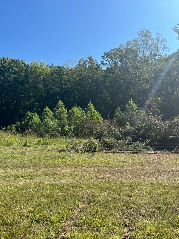 Brush cutting/clearing