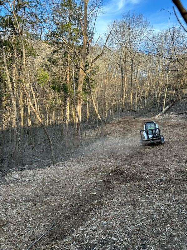 Land Clearing gallery