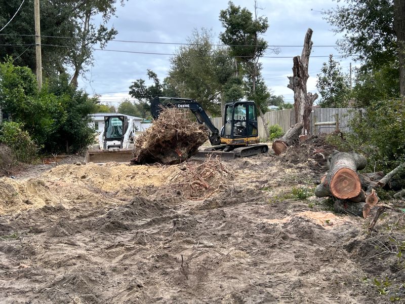 Land Clearing/ Forestry mulching gallery