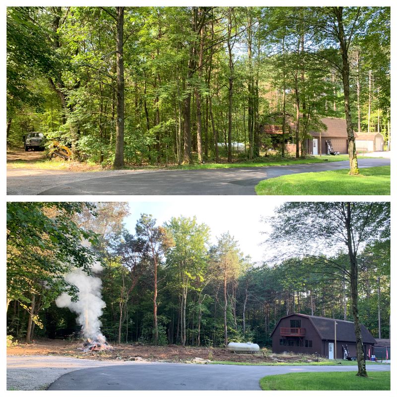 Site preps/land clearing 